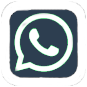 Get in touch via WhatsApp